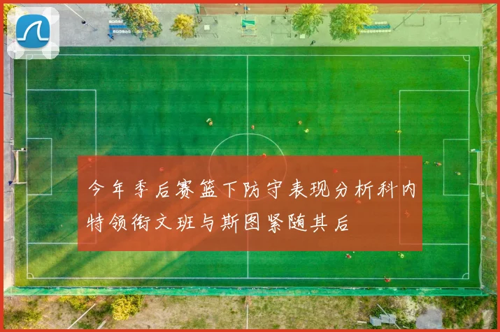 今年季后赛篮下防守表现分析科内特领衔文班与斯图紧随其后