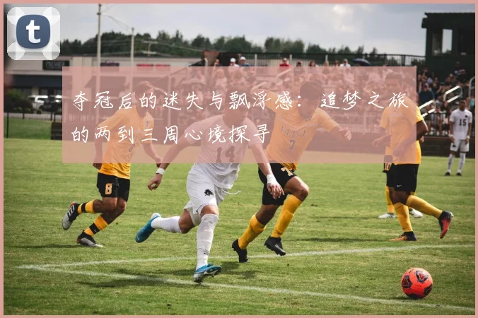 夺冠后的迷失与飘浮感：追梦之旅的两到三周心境探寻