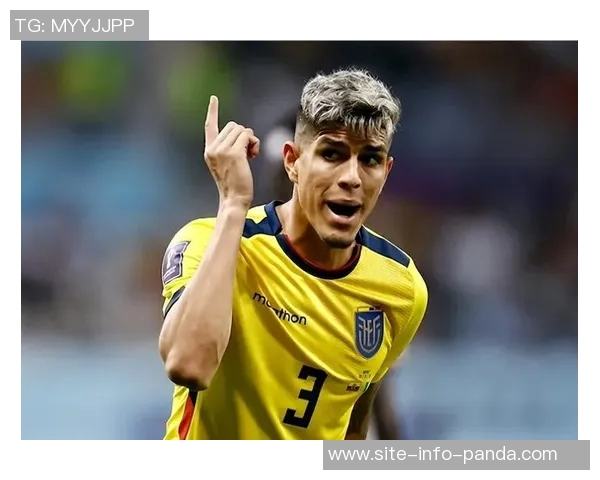 国米瞄准莱切20岁中卫加布里埃尔英超德甲球队同样表示关注