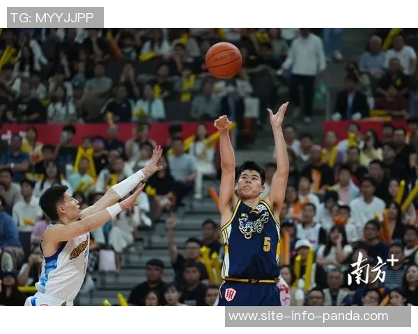 浙江广厦主场再添胜绩以90-75击败青岛豪取六连胜